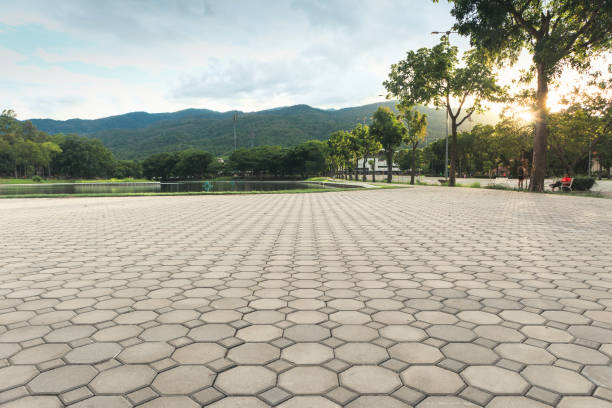 Best Local Driveway Pavers  in Palm City, FL